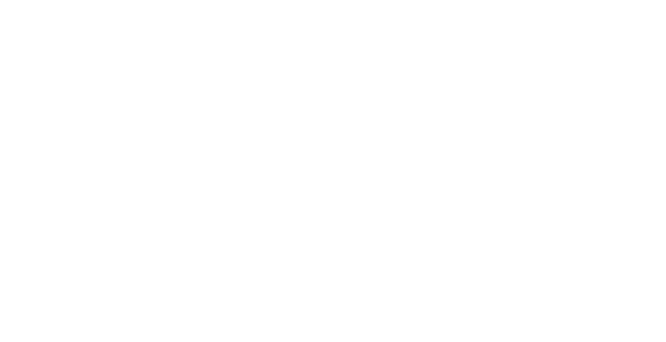 FFG partner logo